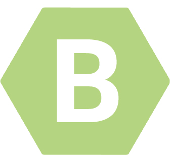 Section B Badge